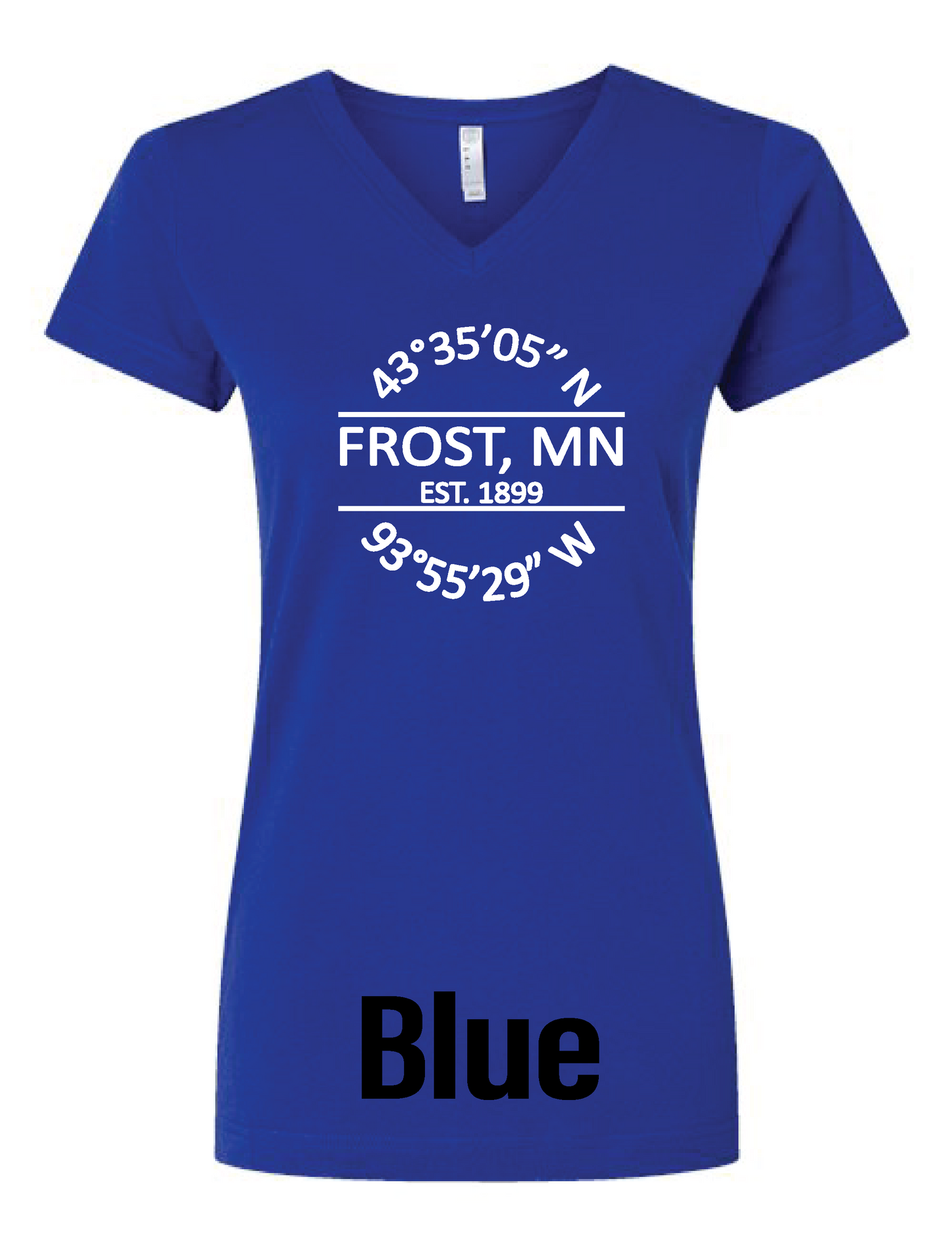 Womens V-Neck Tee (6 Color Options)